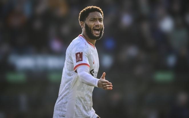 手的争夺展 手的争夺展