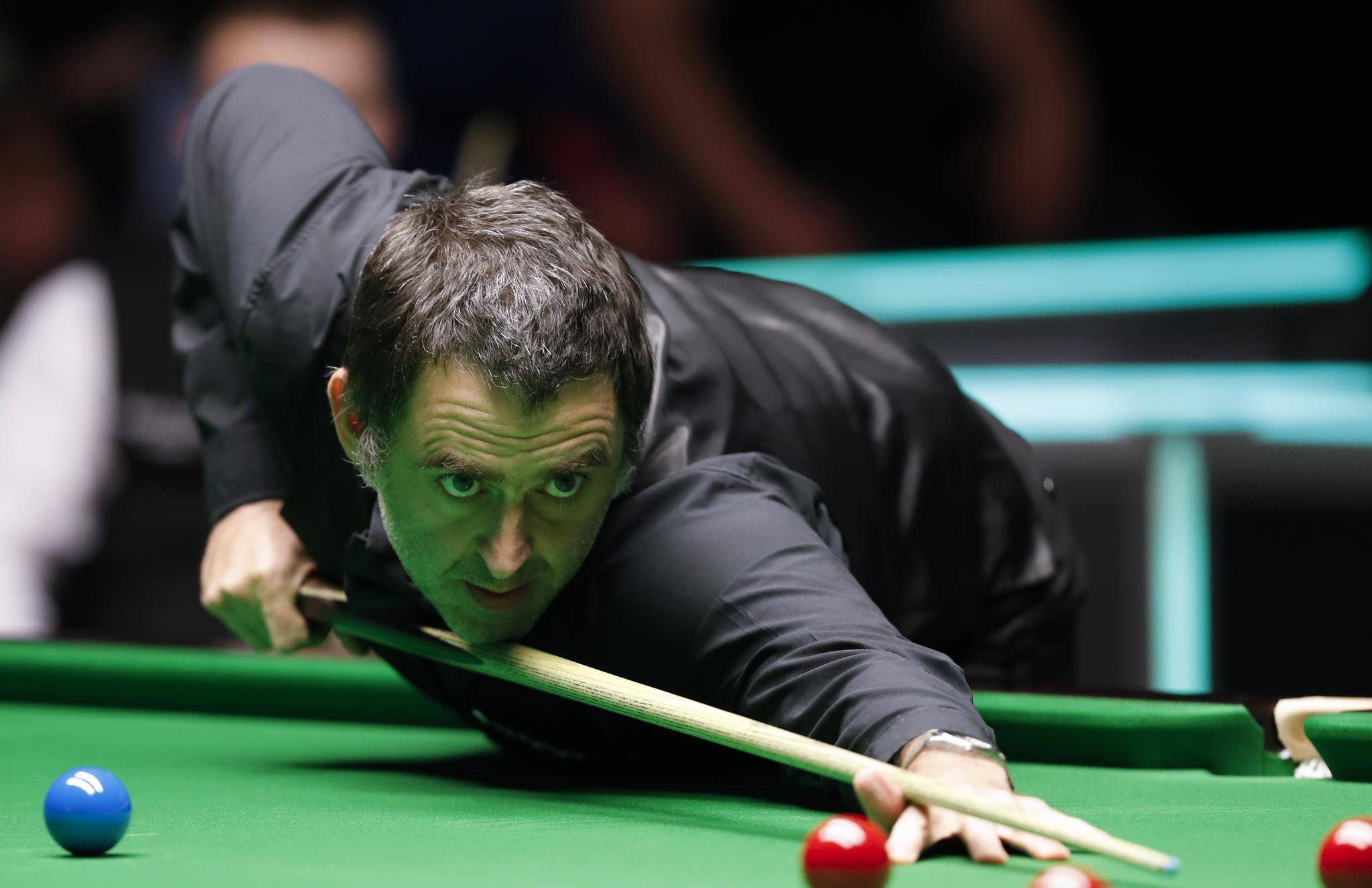 而维斯塔潘 而维斯塔潘