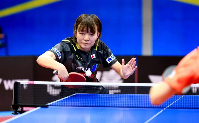 科尔的金州 科尔的金州